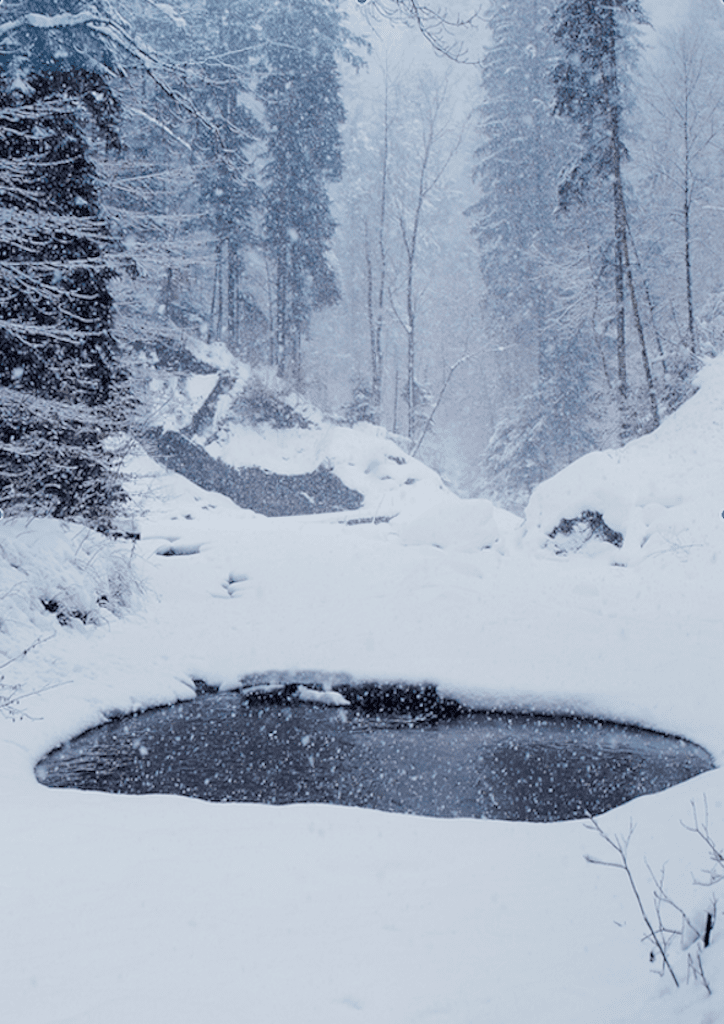 [Julius Baer Art Collection] Florian Graf Diptych part 1