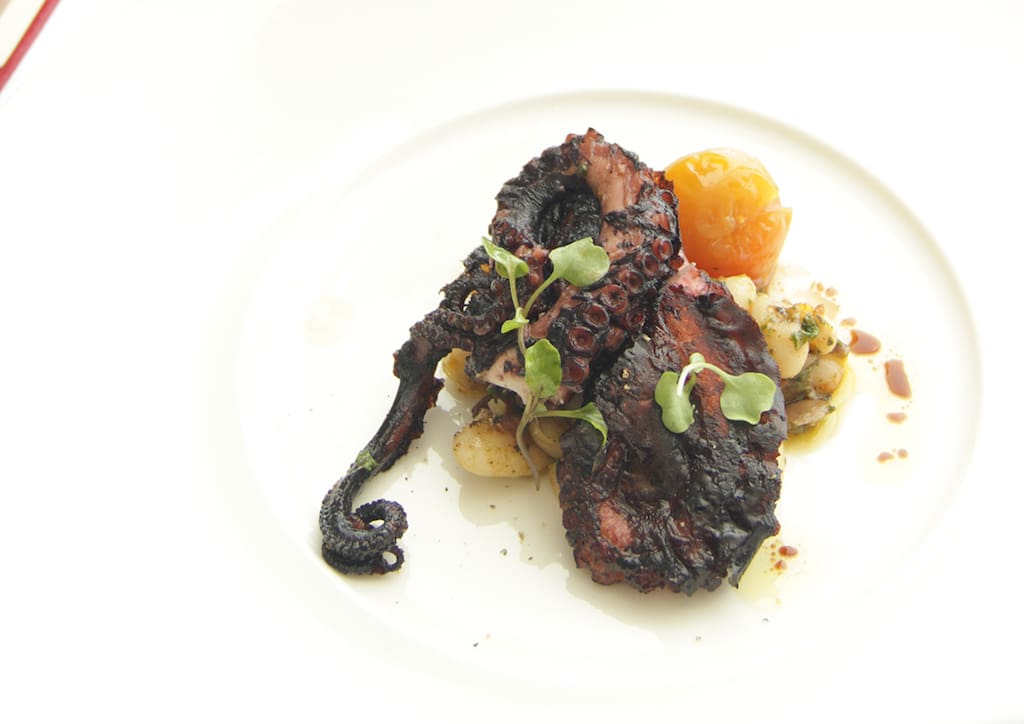 Slow cooked octopus, white bean salad, lemon confit and kalamata olives