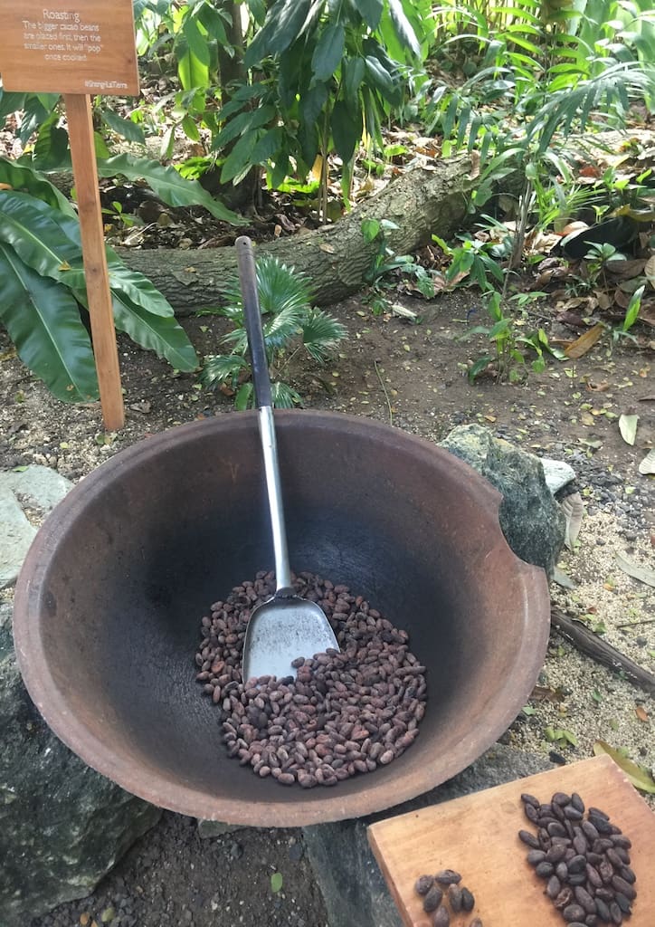 Chocolate has been a part of our heritage since Portuguese explorer Ferdinand Magellan first arrived in Mactan, Cebu in 1521