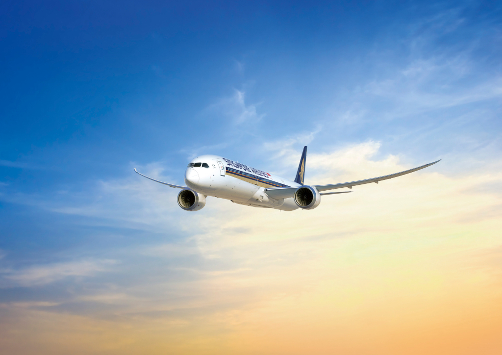 The new Boeing 787-10 Dreamliner