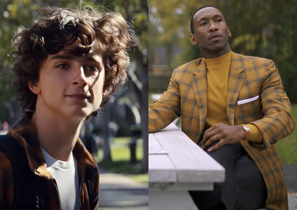Timothee Chalamet in Beautiful Boy (2018) and Mahershala Ali in Green Book (2018)