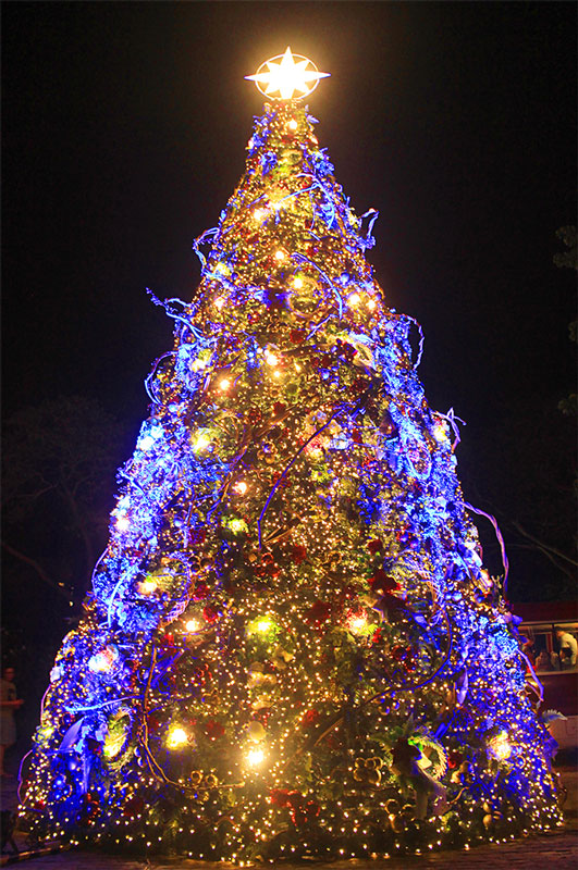 pico-de-loro-beach-and-country-club-batangas-christmas-tree pico de loro beach and country club batangas christmas tree