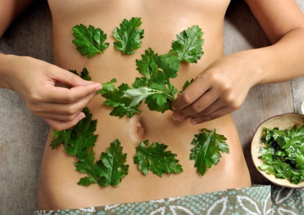 The Farm at San Benito's new detox program will help you start the New Year in a good note