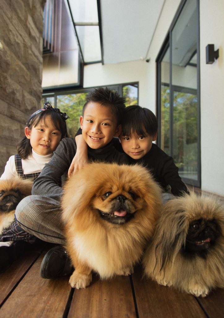 The Teo kids with their Pekingese dogs (Photograph by Jack Alindahao)
