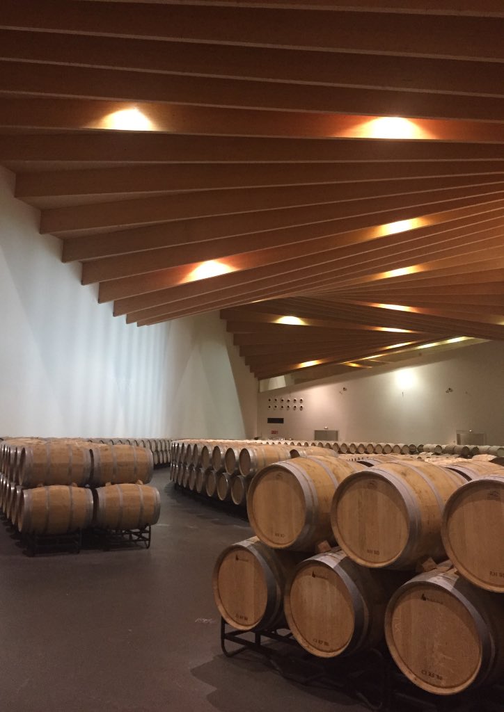 The aging room of Ysios