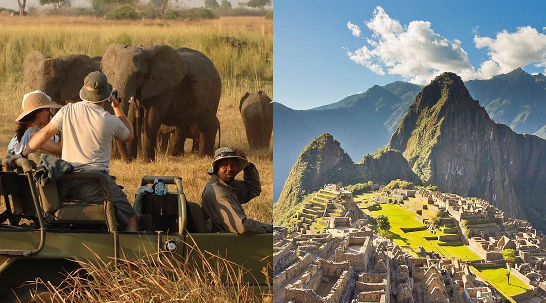 African Safari and Machu Picchu