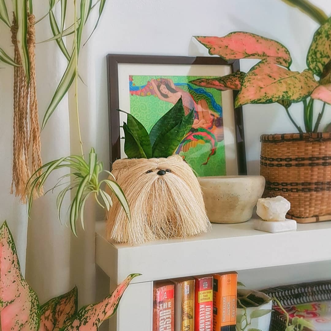 Ennoble plant holder