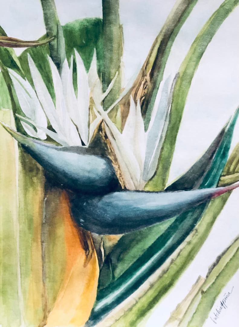 Nicolai by Butchie Peña