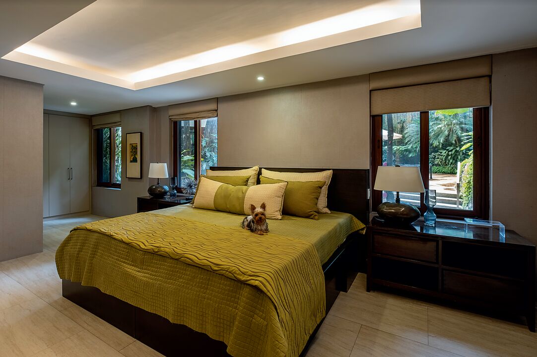 Yogi - pet of master of the house resting in guest room