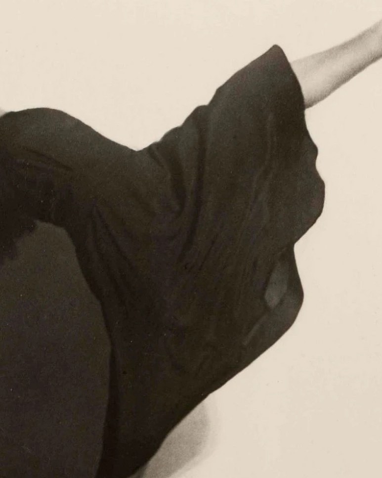 Angelina Jolie fashion brand