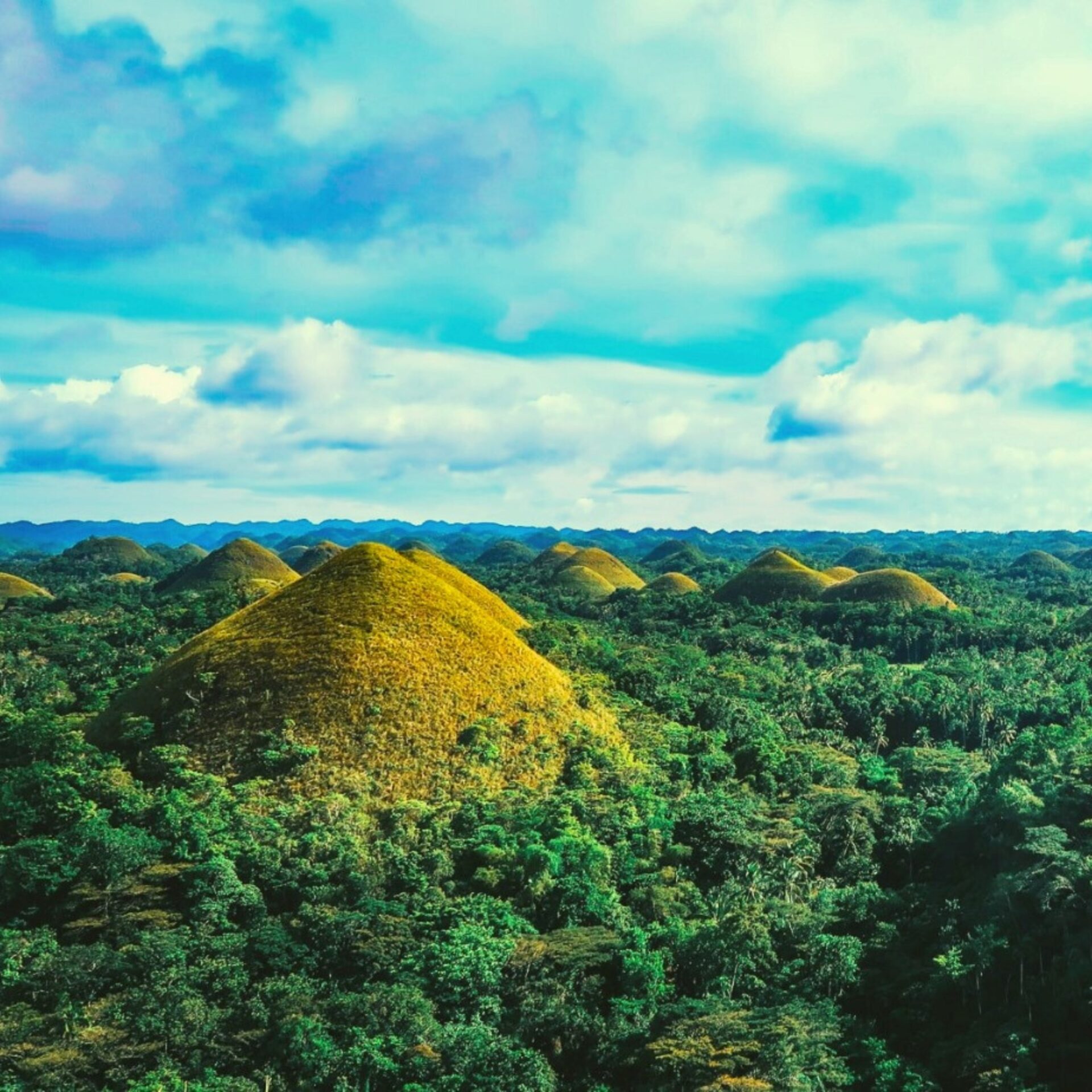Chocolate Hills in Bohol