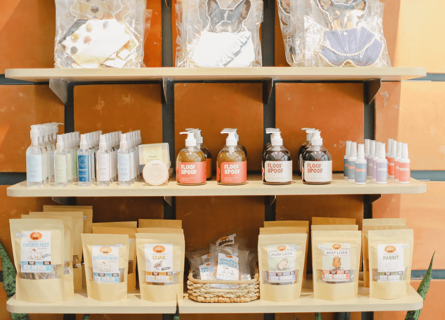 Collar & Comb pet grooming