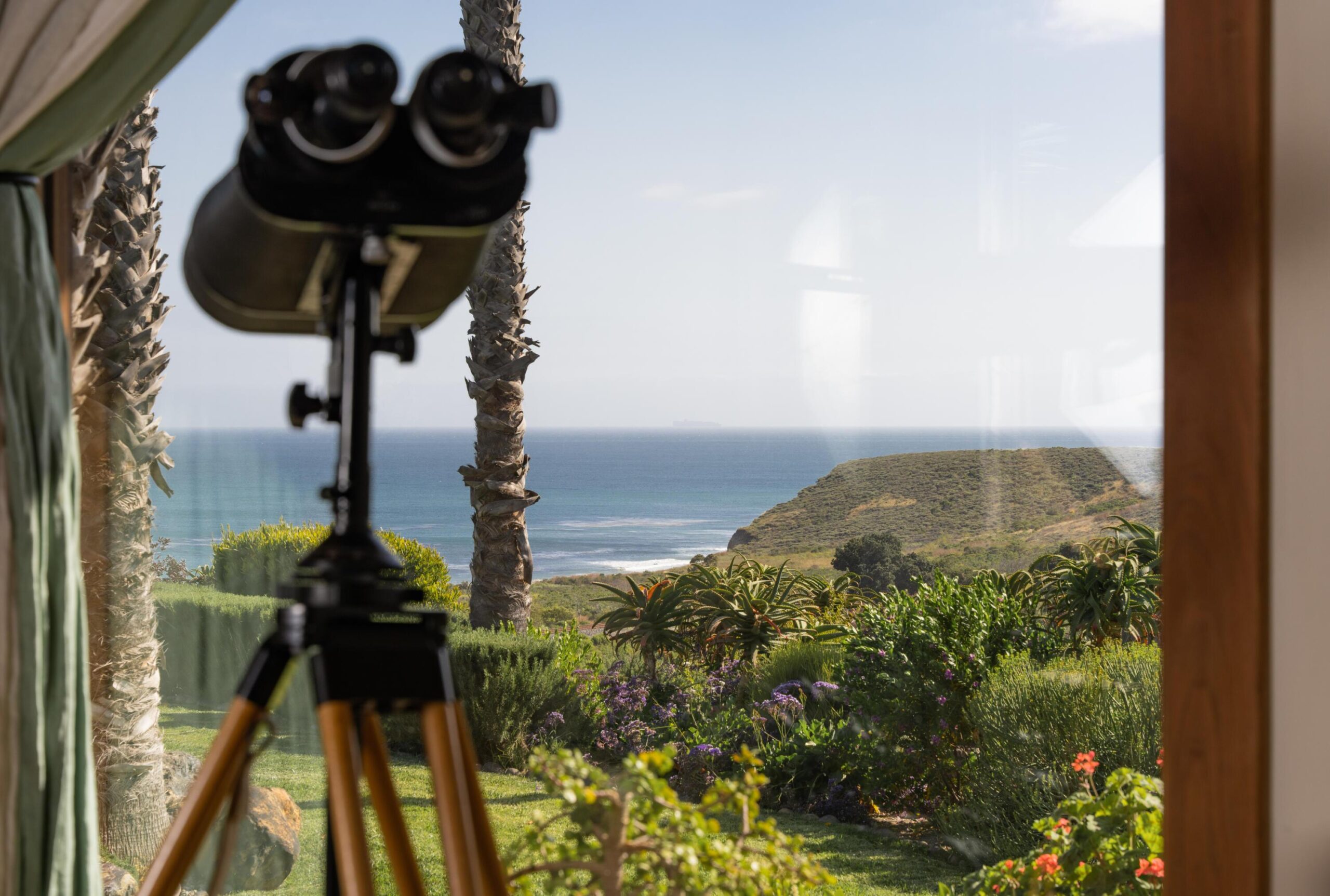 Cameron uses powerful, long-distance binoculars in his office-library for a better view of marine life