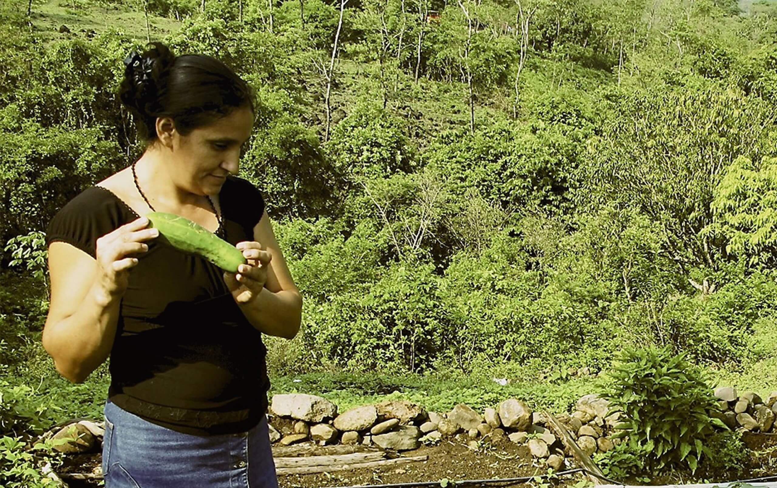 The "El Salvador Project" provided families with fresh produce