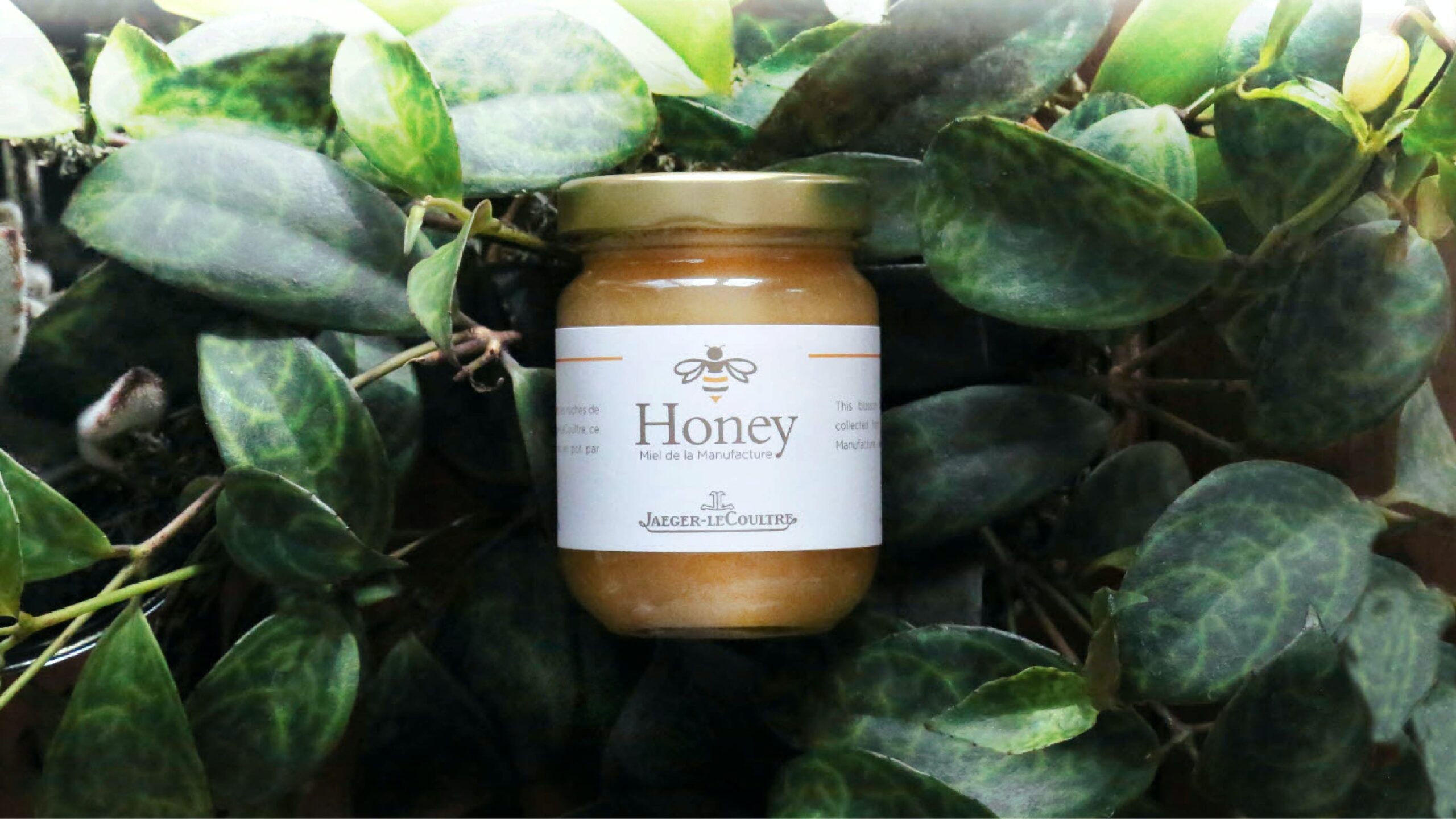 Jaeger-LeCoultre's other initiative involves cultivating a fresh vegetable garden and apiary to help preserve the Vallée de Joux biodiversity