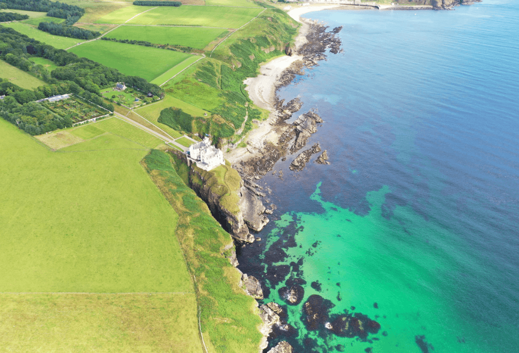 Photo from the Savills UK brochure