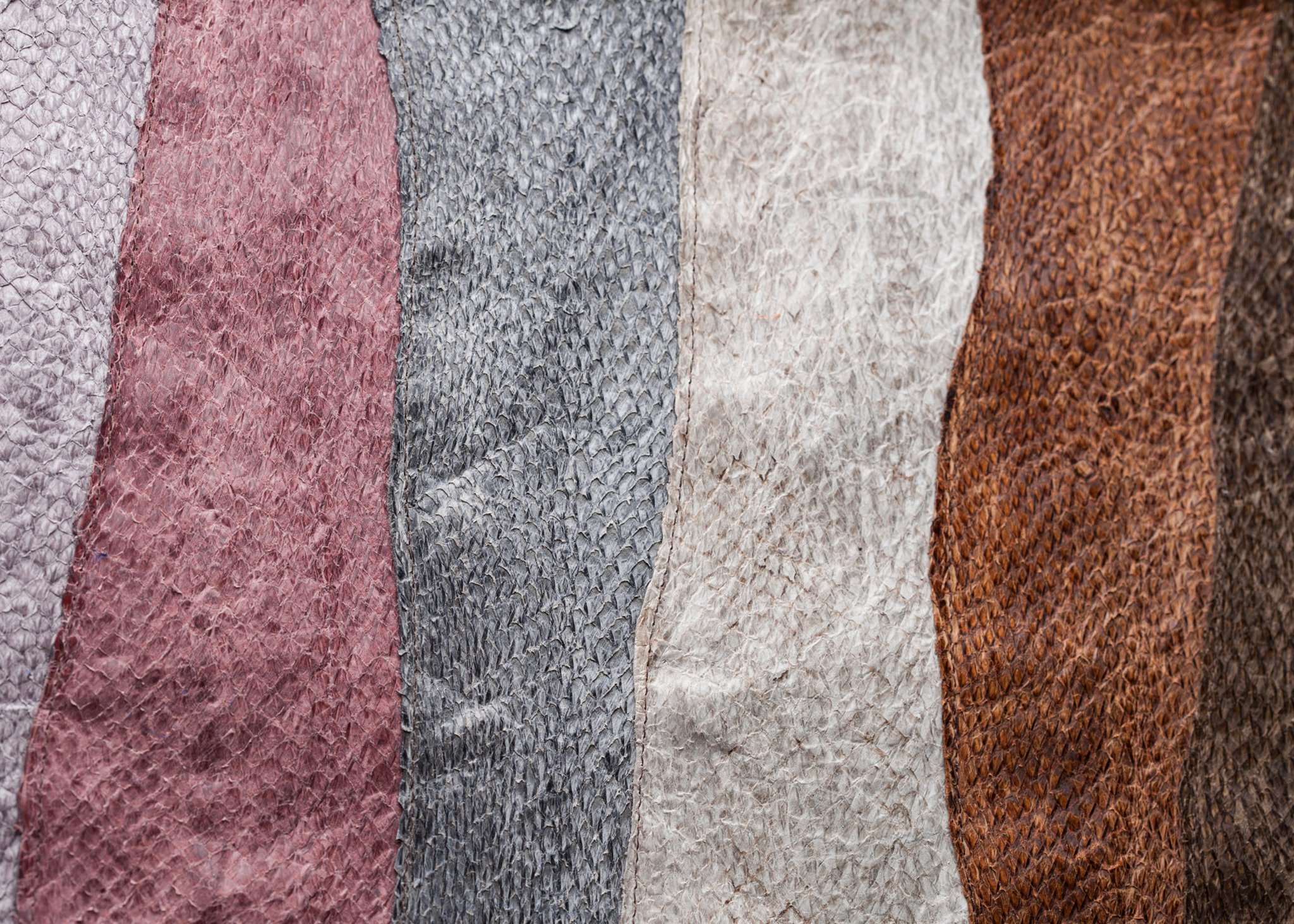 A spread of beautiful fish leather