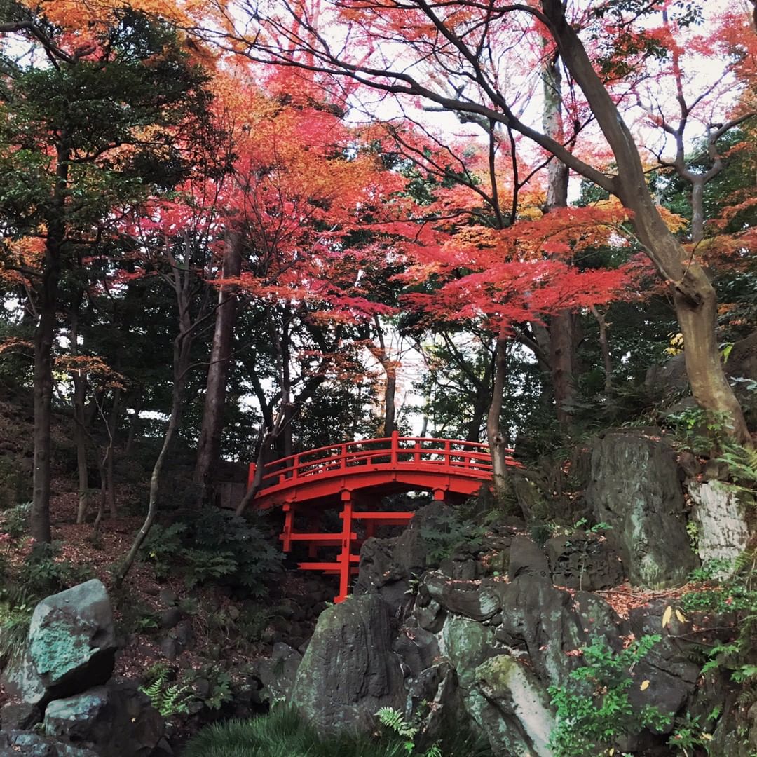 Most Beautiful Gardens In The World