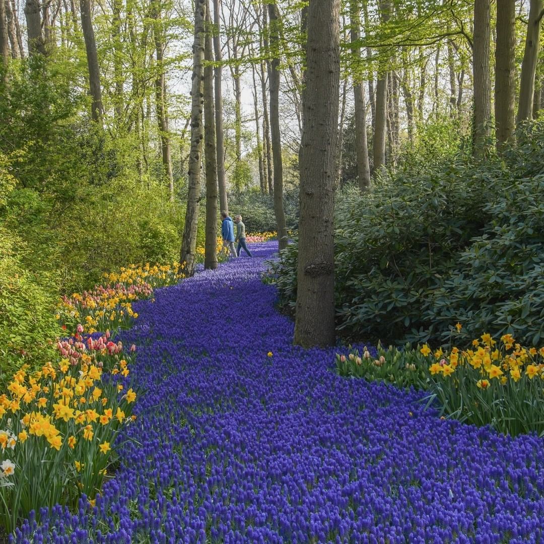 Most Beautiful Gardens In The World