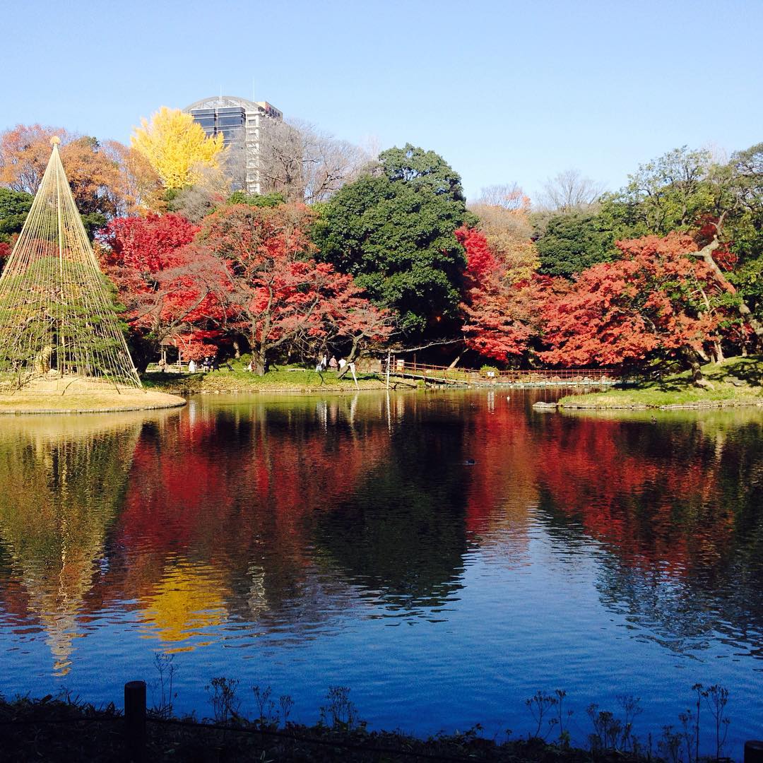 Most Beautiful Gardens In The World