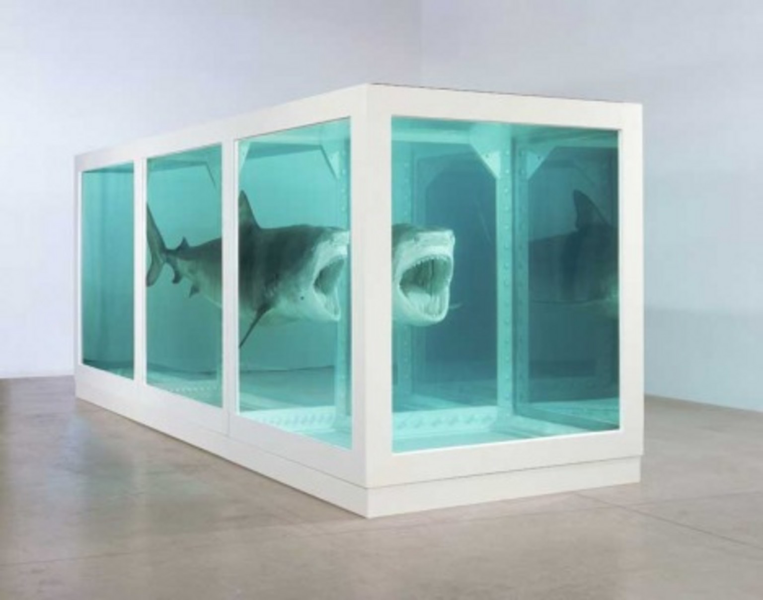 Damien Hirst's preserved shark piece, "The Physical Impossibility of Death in the Mind of Someone Living"