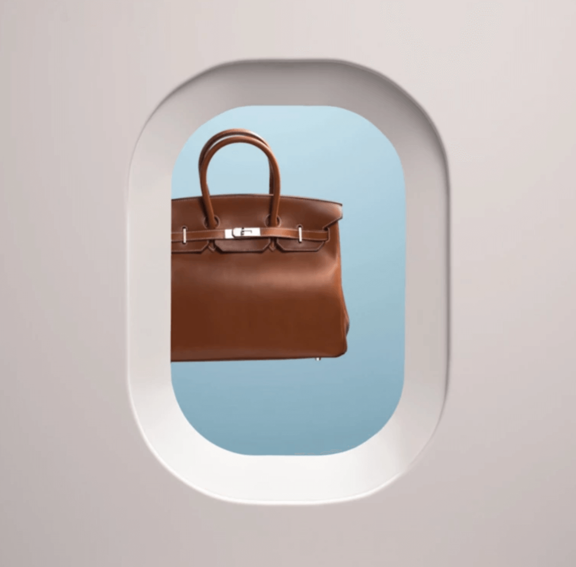 Birkin Bag