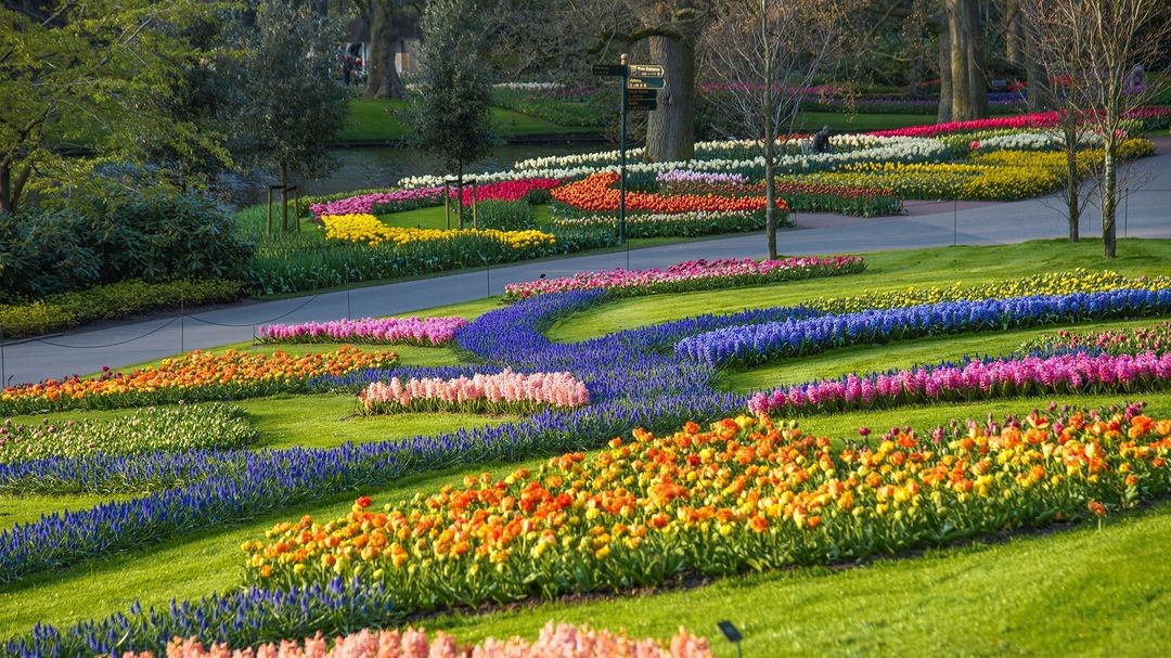 5 Most Beautiful Gardens to Visit Around the World