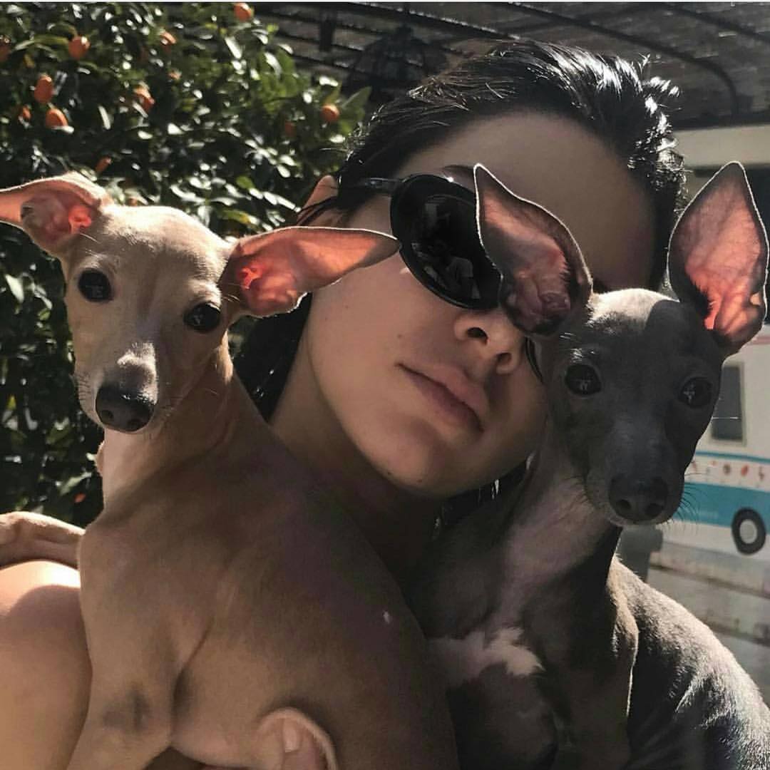 Kylie Jenner and her dogs Normie and Bambi