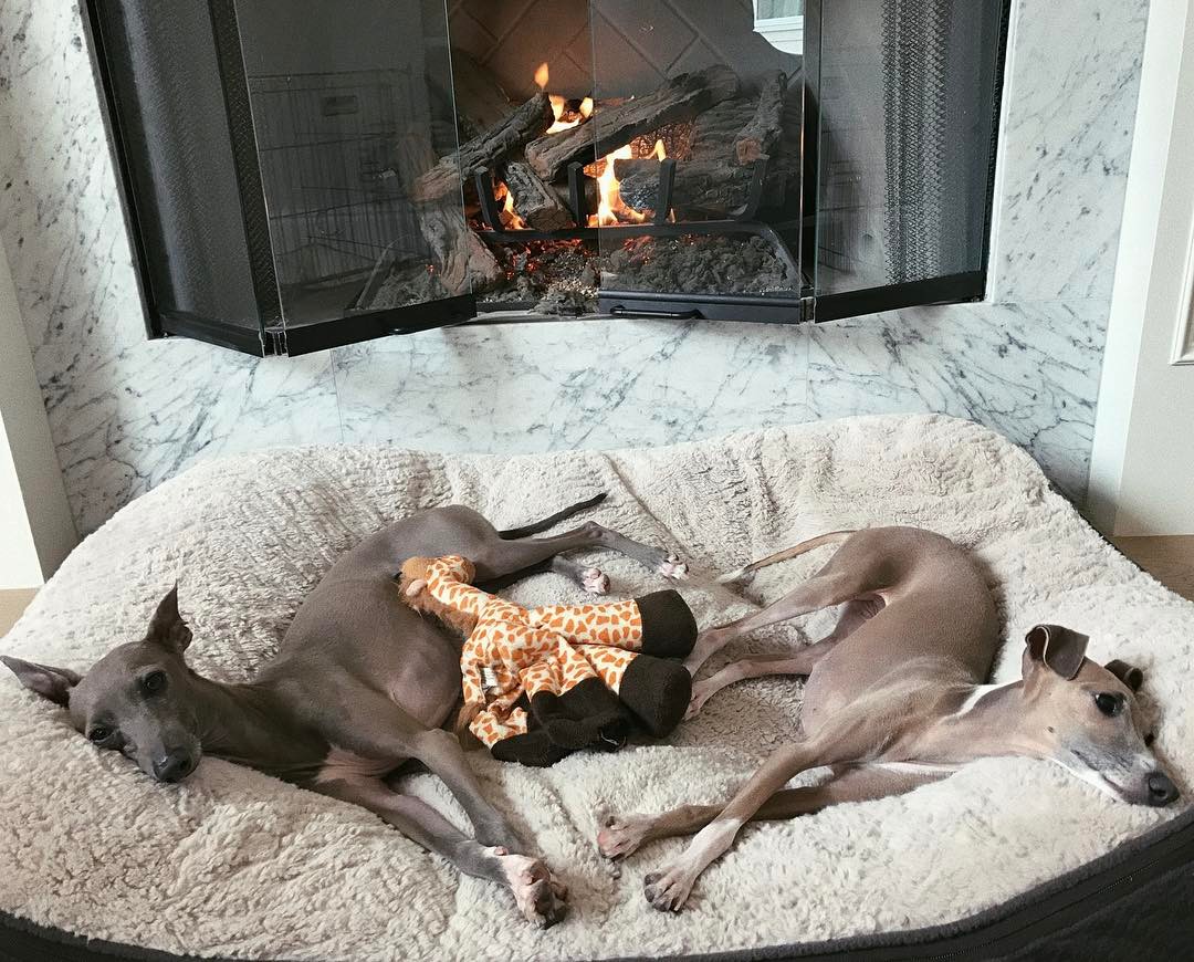 Normie and Bambi Jenner