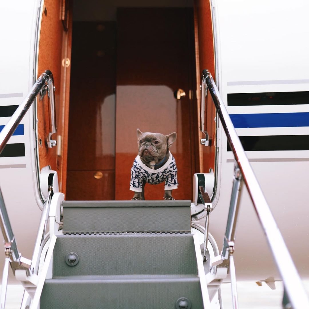 Foe Thee Stallion traveling in style