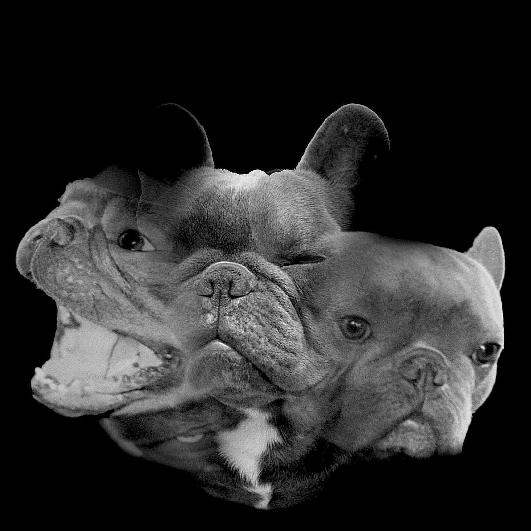 A spoof picture Megan Thee Stallion posted of Foe to commemorate the release of her album "Traumazine"