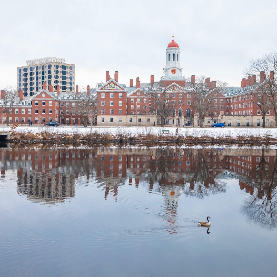 Harvard in the winter