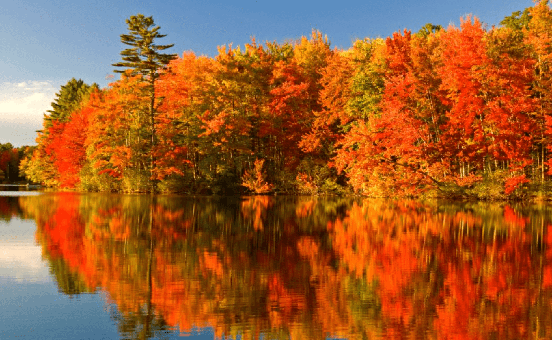 Autumn in the Algonquin Provincial Park in Canada