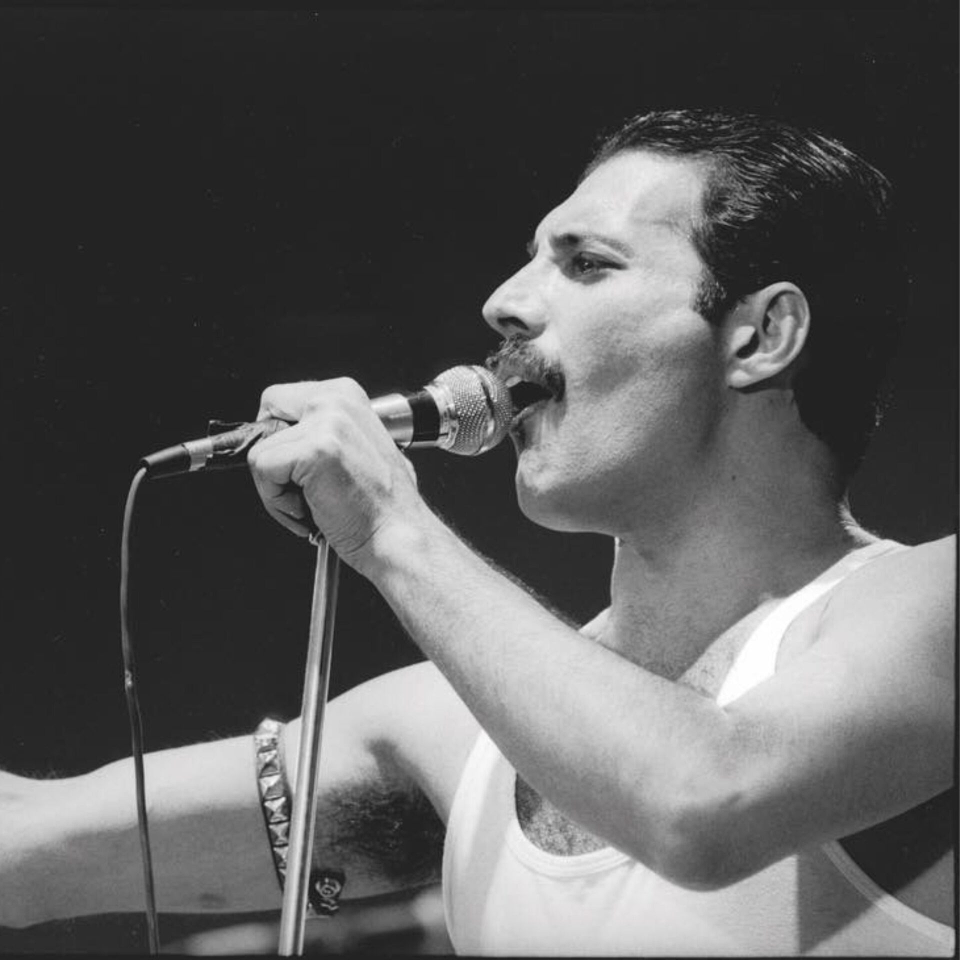 Auction of Freddie Mercury's belongings surpasses estimates