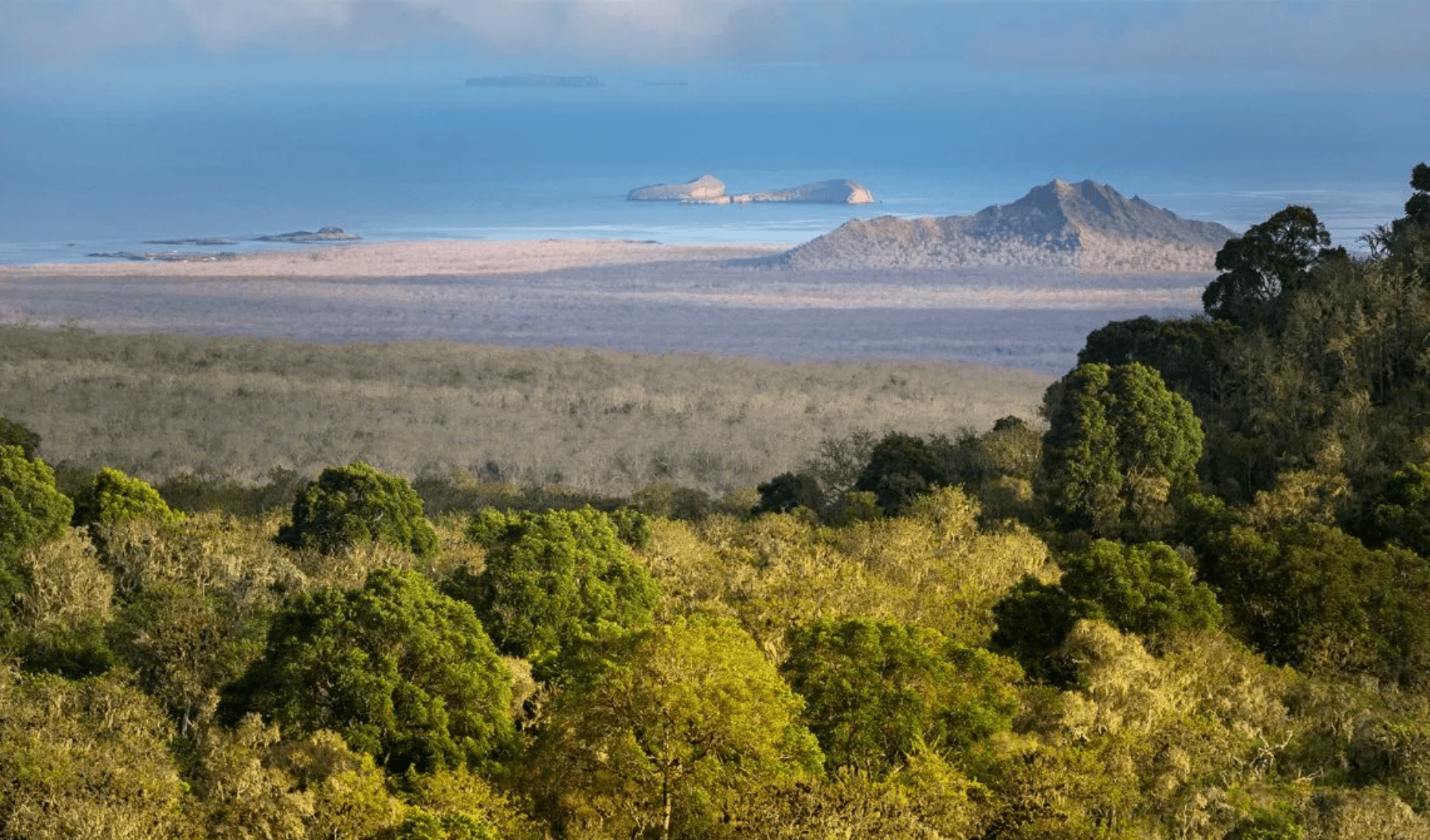 The surrounding nature in Galapagos Safari Camp