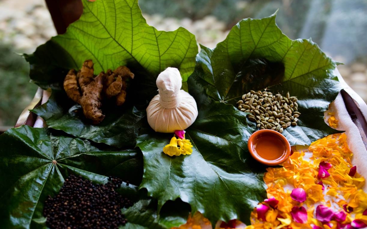 Ayurvedic medicine