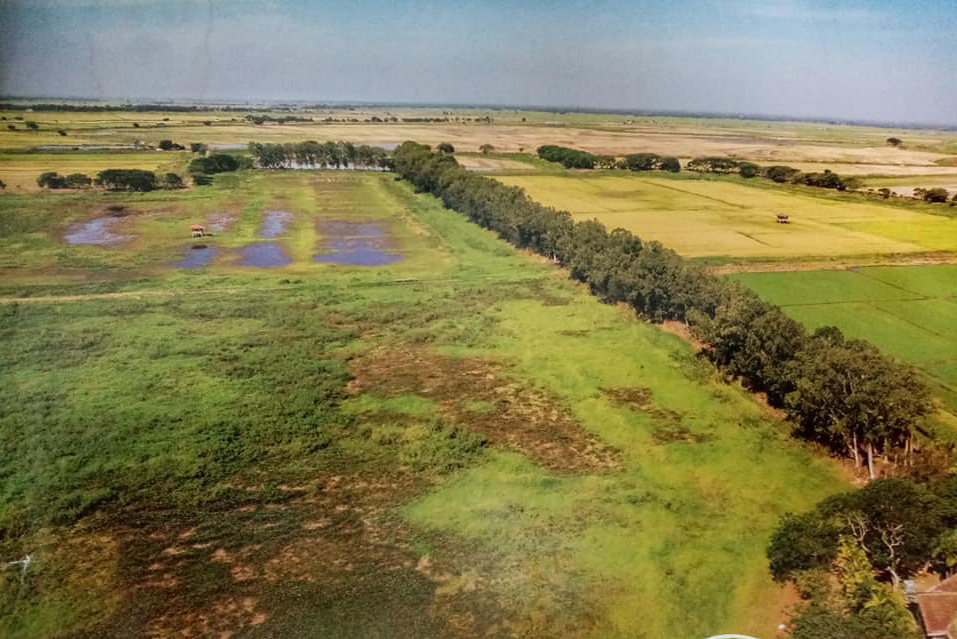 The Candaba Marshland