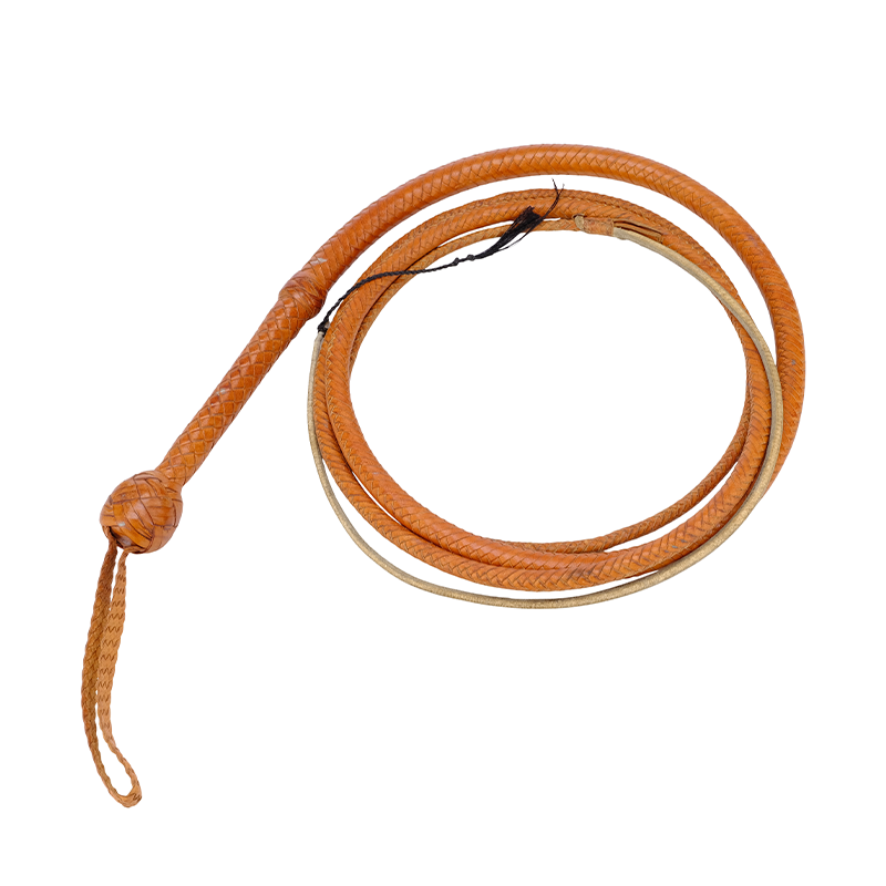 The original bullwhip Harrison Ford used while playing Indiana Jones