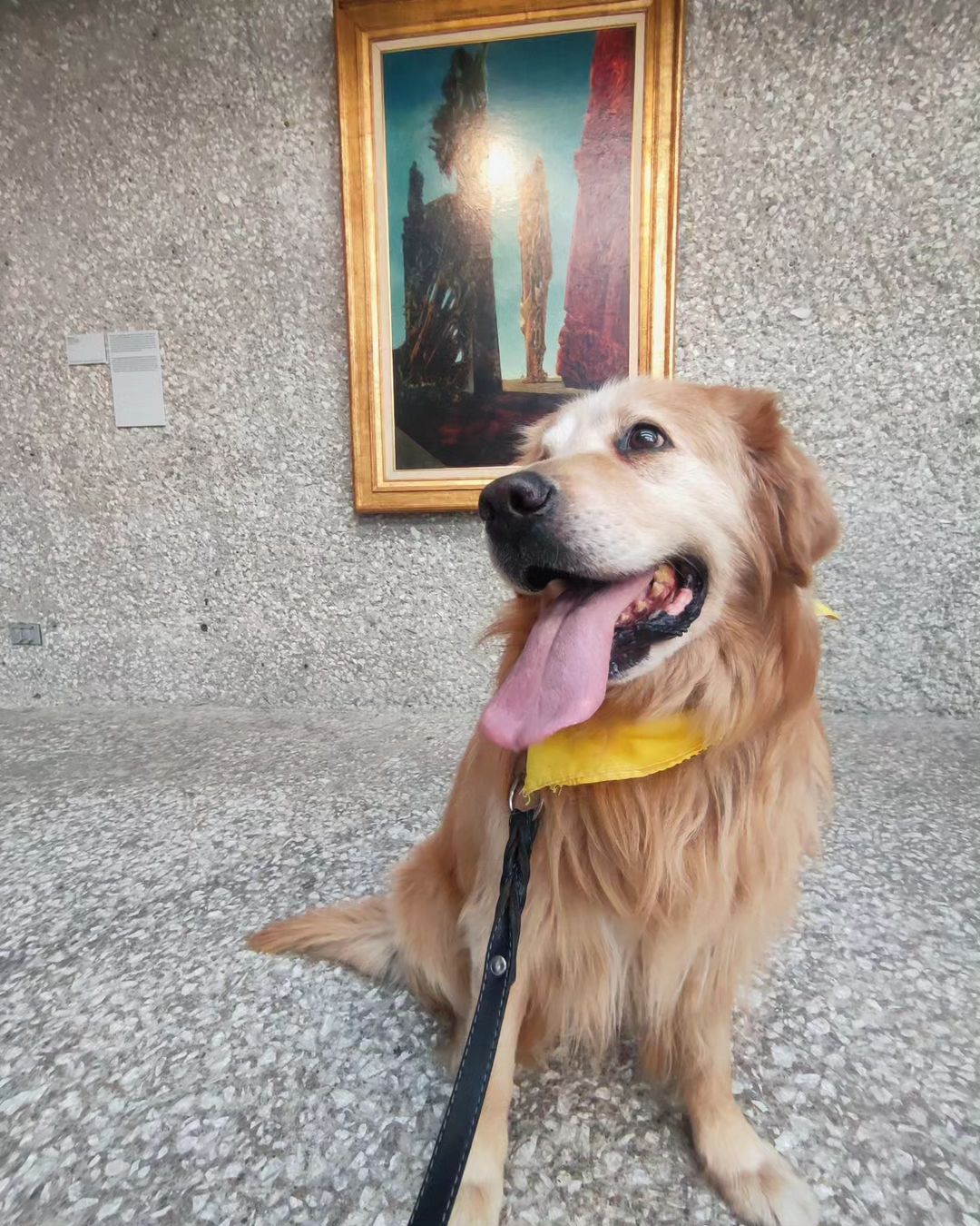 A dog poses with an artwork at the #ARTEyPERROS exhibit
