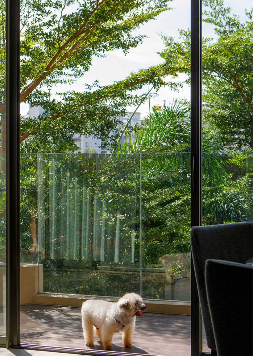 Likha Residences pet-friendly