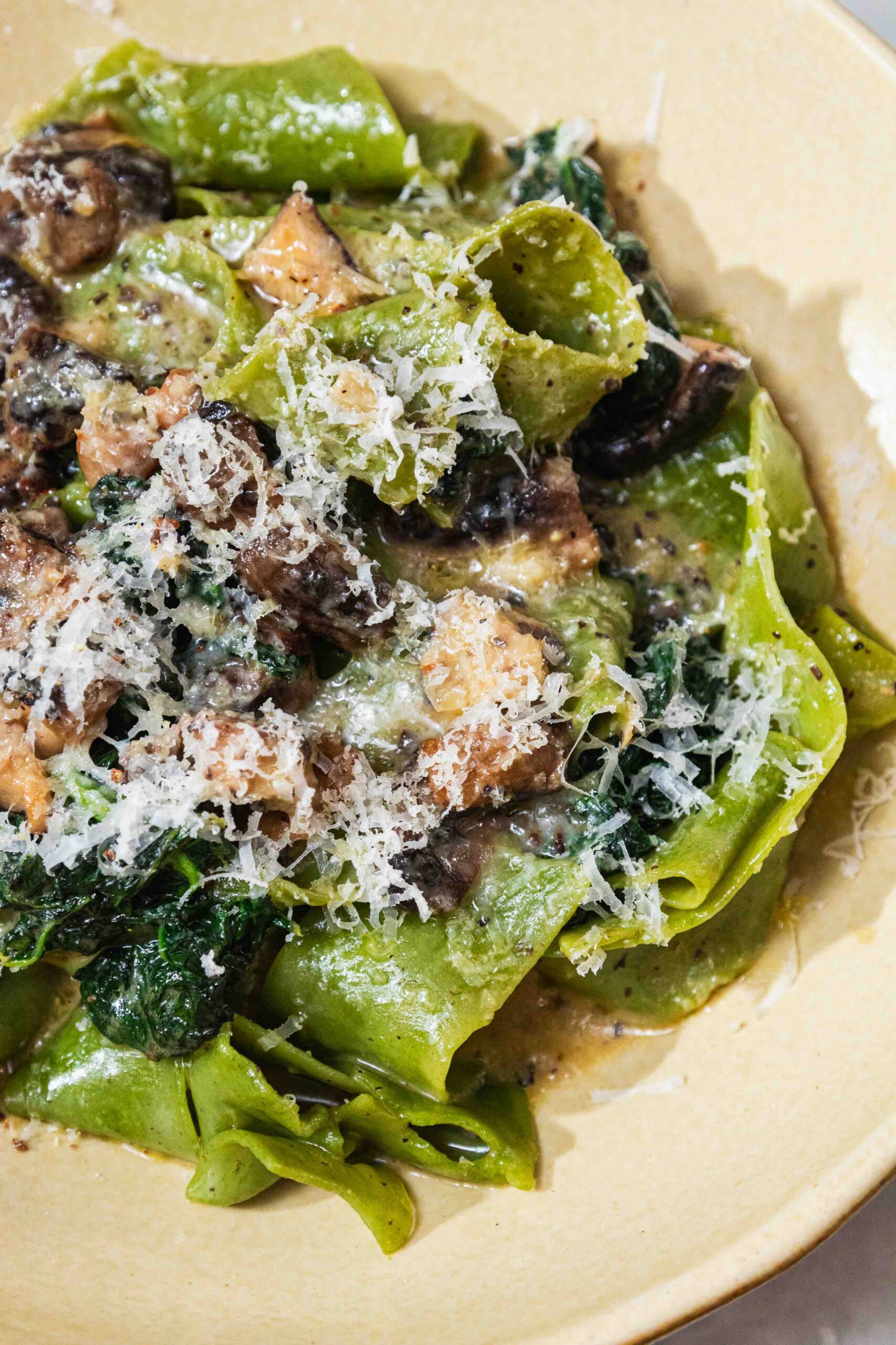 Mushroom Pappardelle