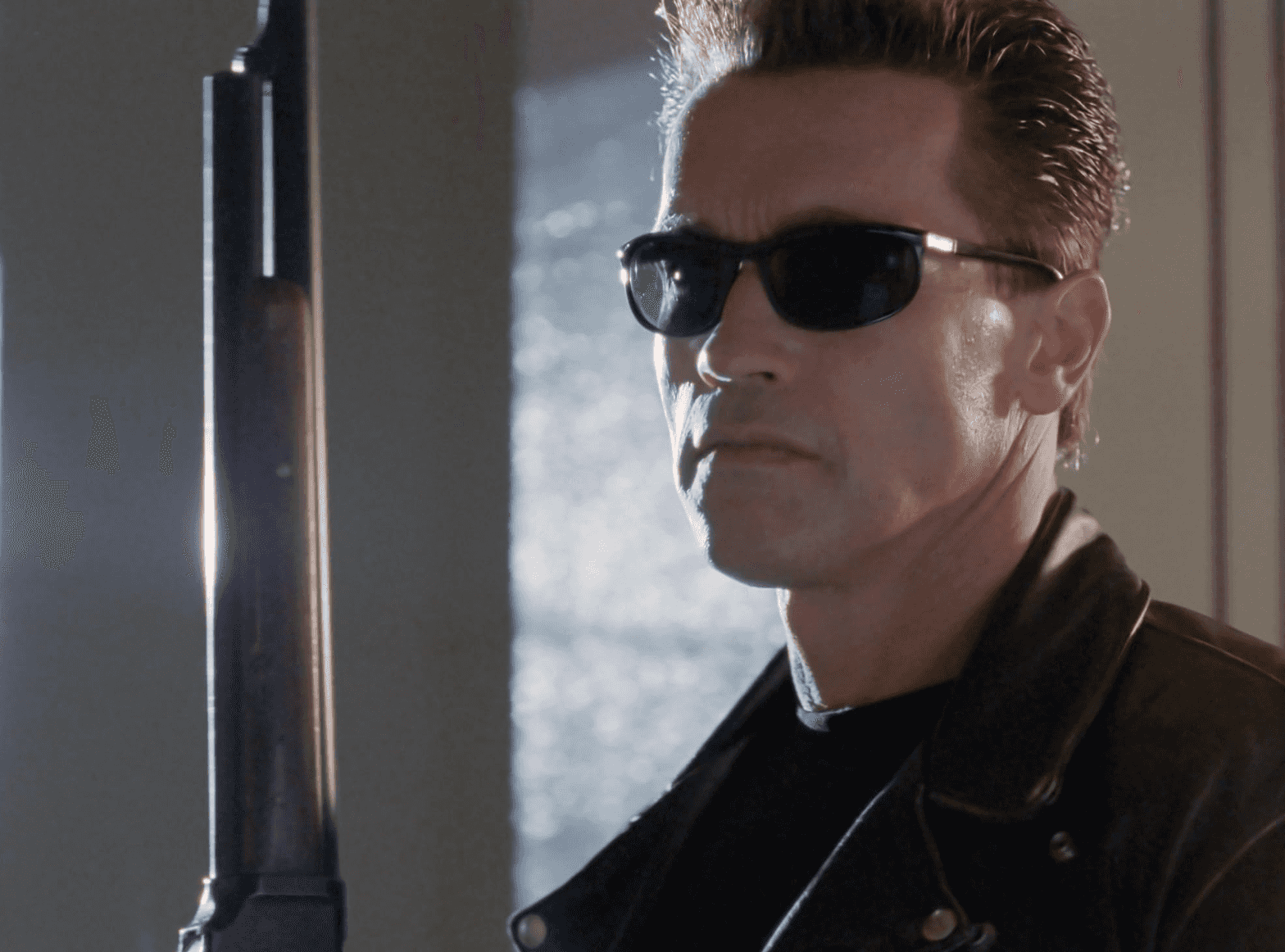 Arnold Schwarzenegger as The Terminator in Terminator 2: Judgment Day