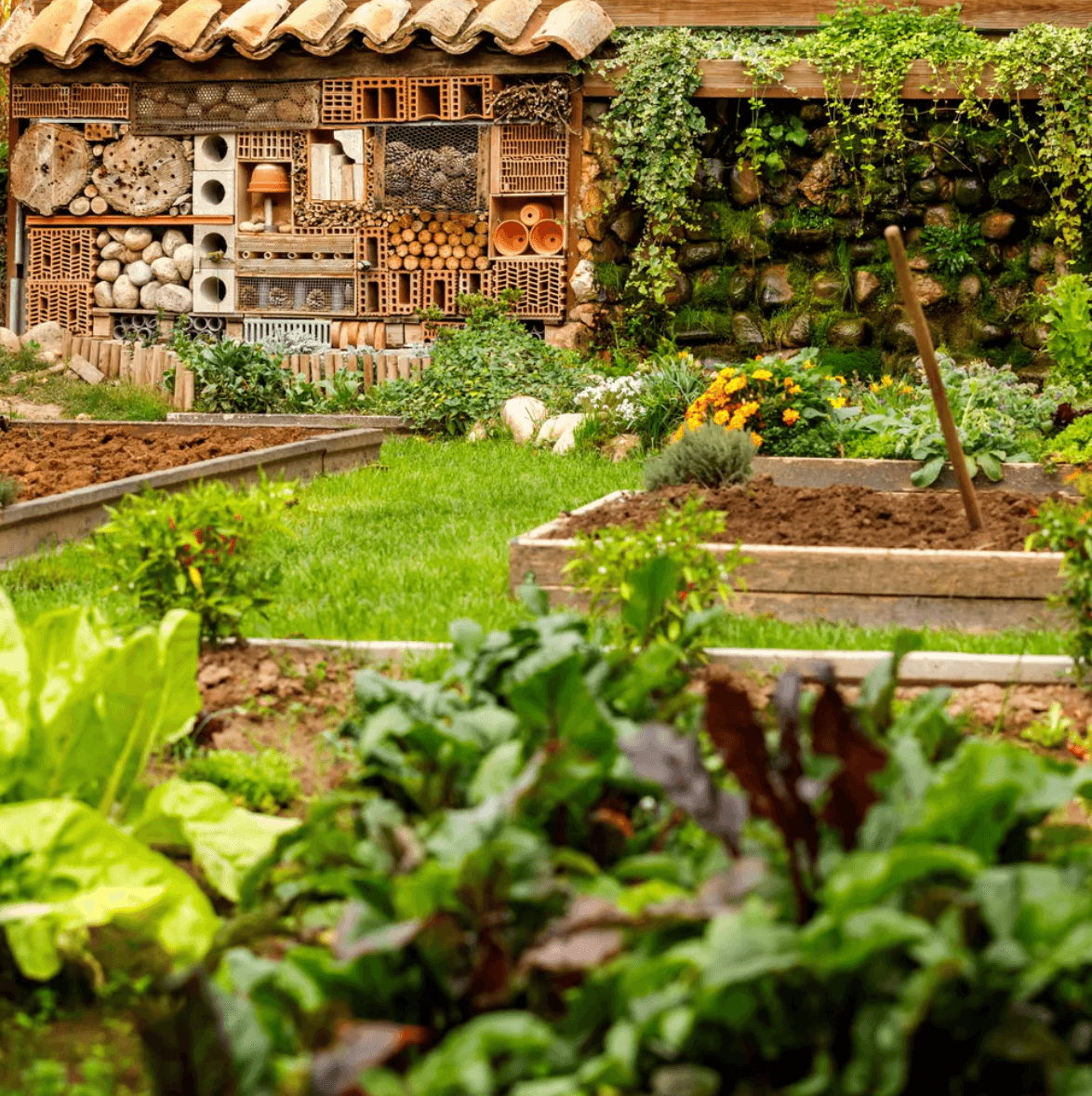 The bounty of Venta Moncalvillo’s garden