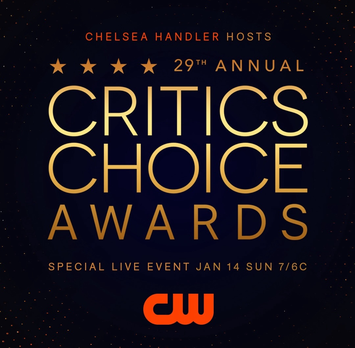The 2024 Critics Choice Awards proved to be a night filled with laughter, surprises, and a celebration of cinematic excellence. 