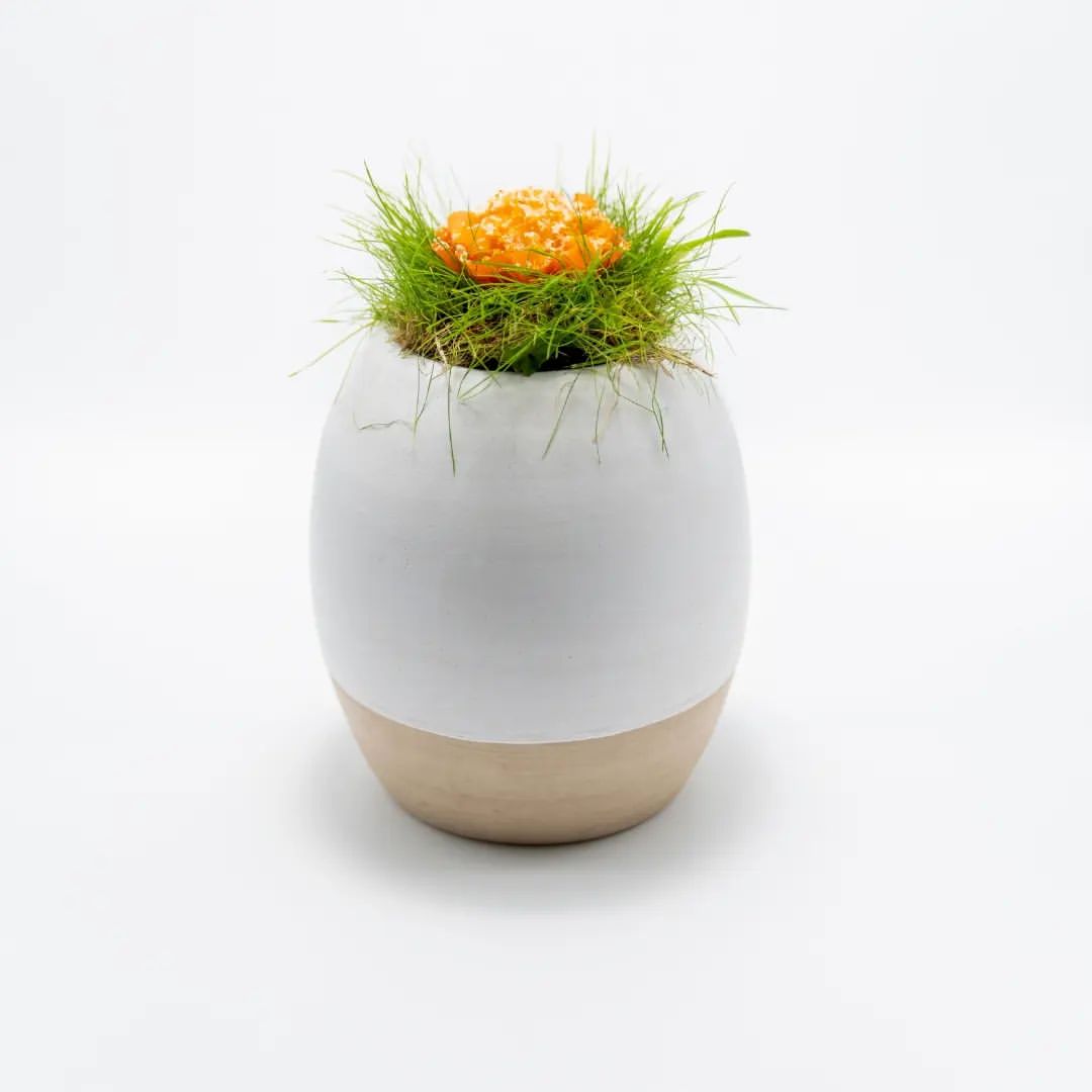 Interlude’s “Rabbit Ears Carrot” dish