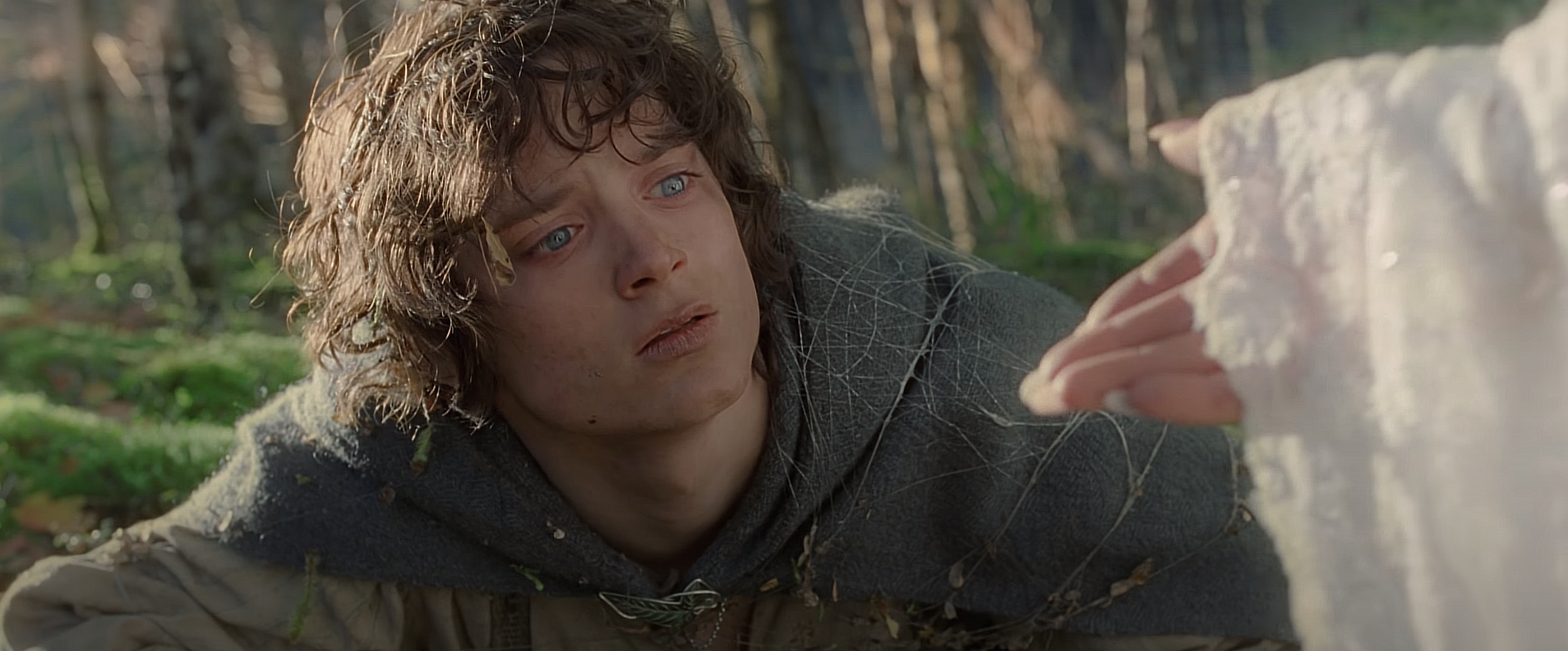 Frodo Baggins in The Lord of the Rings: The Return of the King