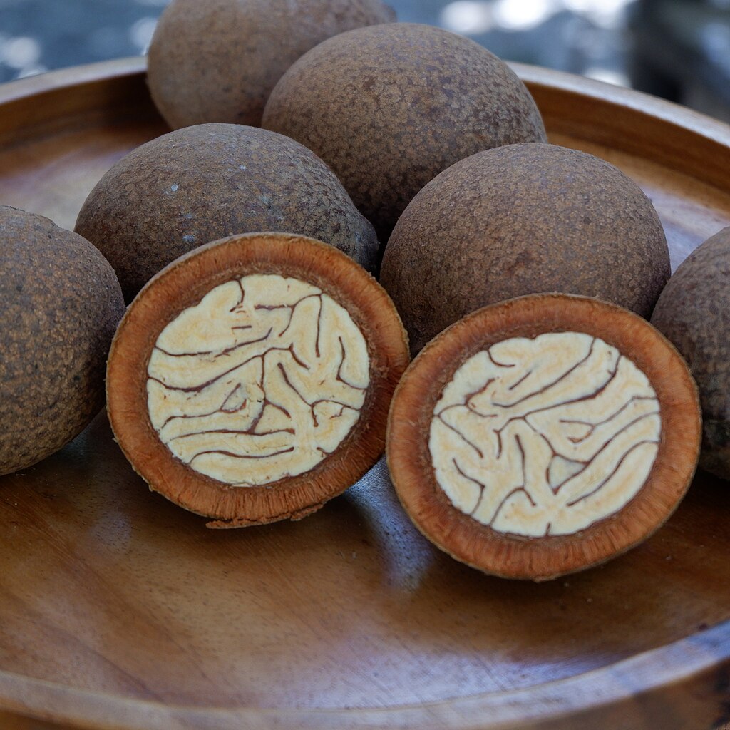 “Tabon-tabon” is one of the Philippine heritage ingredients that are diminishing in number, as it comes from an endangered tree