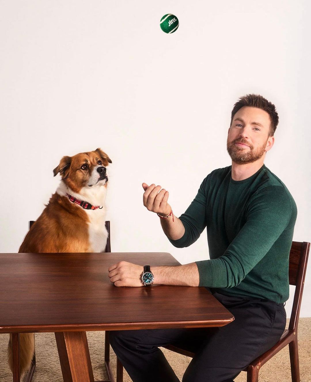 Chris Evans and his dog Dodger