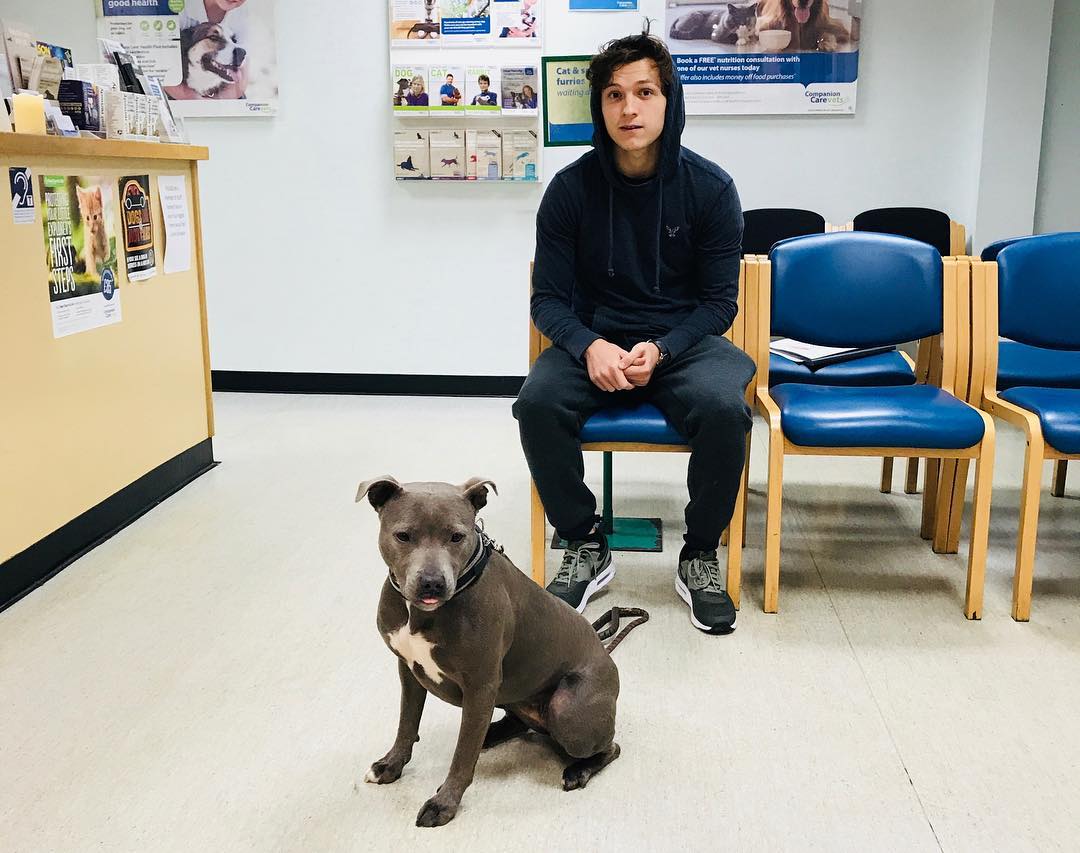 Tom Holland and Tessa