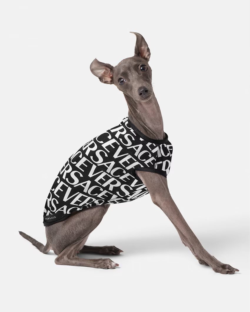 Crystal Medusa Raincoat and Allover Pet T-shirt